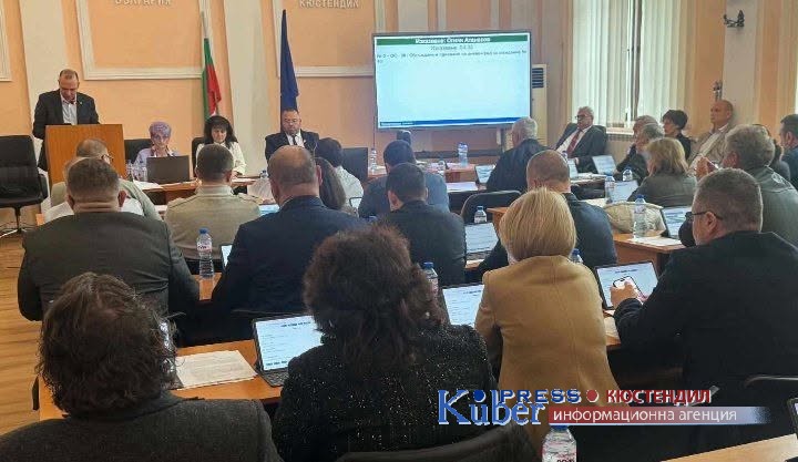 Кмета инж. Атанасов пред съветниците в Кюстендил: Водният режим е пред отмяна, ежегодно се кастрират над 300 - 400 кучета